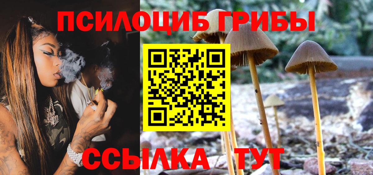 Галлюциногенные грибы мицелий  закладка  Белебей  Вход с VPN 