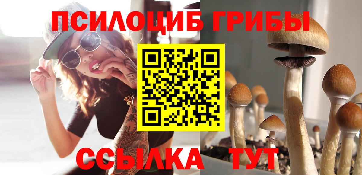 Псилоцибиновые грибы мухоморы Белебей